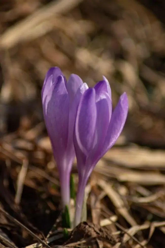 Paariteraapia aitab parandada suhtlemist